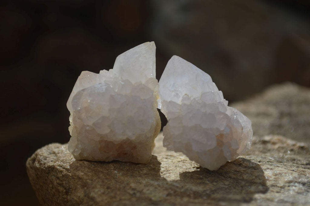 Natural White Spirit Quartz Crystals x 24 From Boekenhouthoek, South Africa - Toprock Gemstones and Minerals 