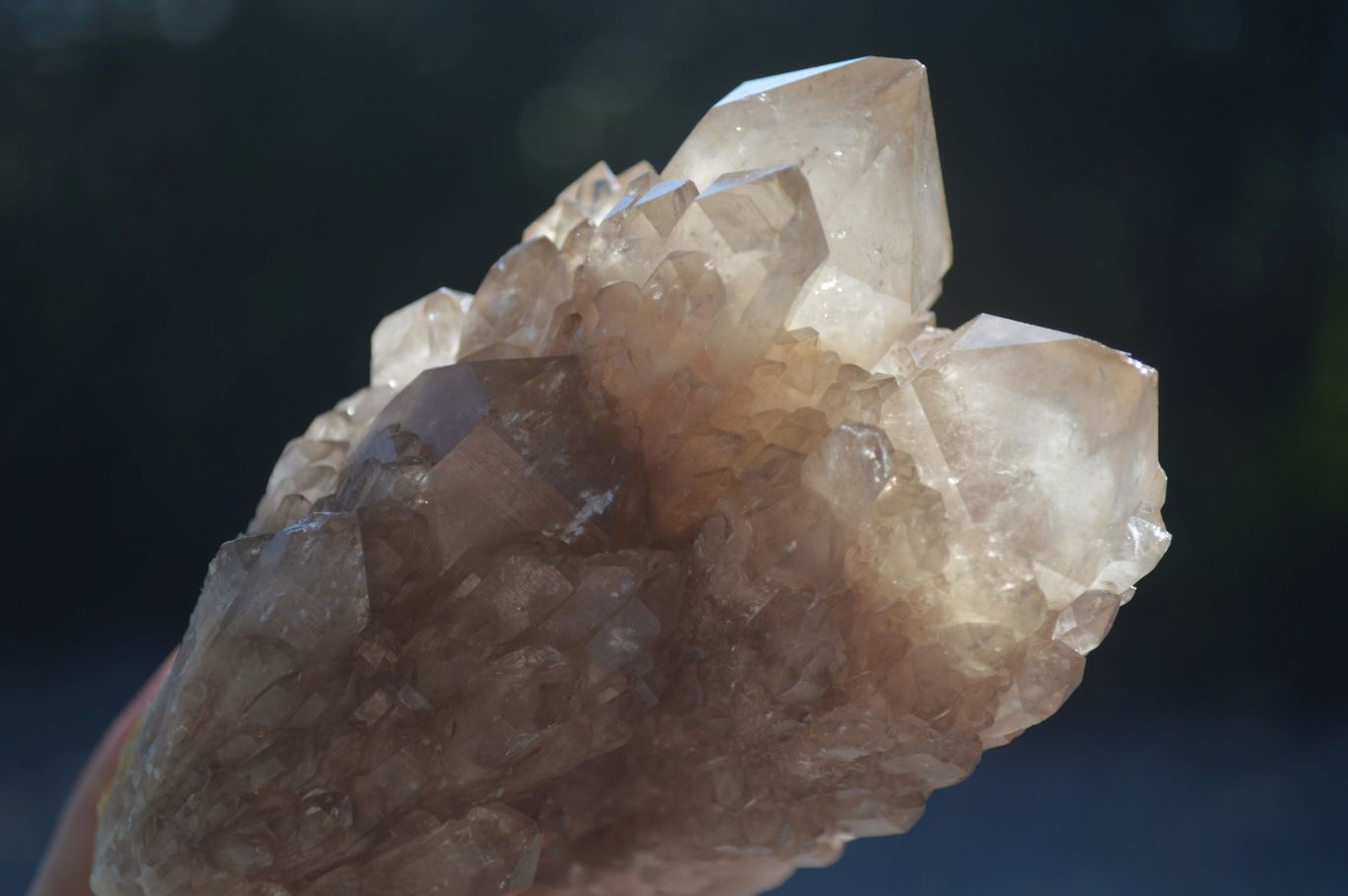 Natural White Phantom Smokey Quartz Clusters  x 3 From Luena, Congo - Toprock Gemstones and Minerals 