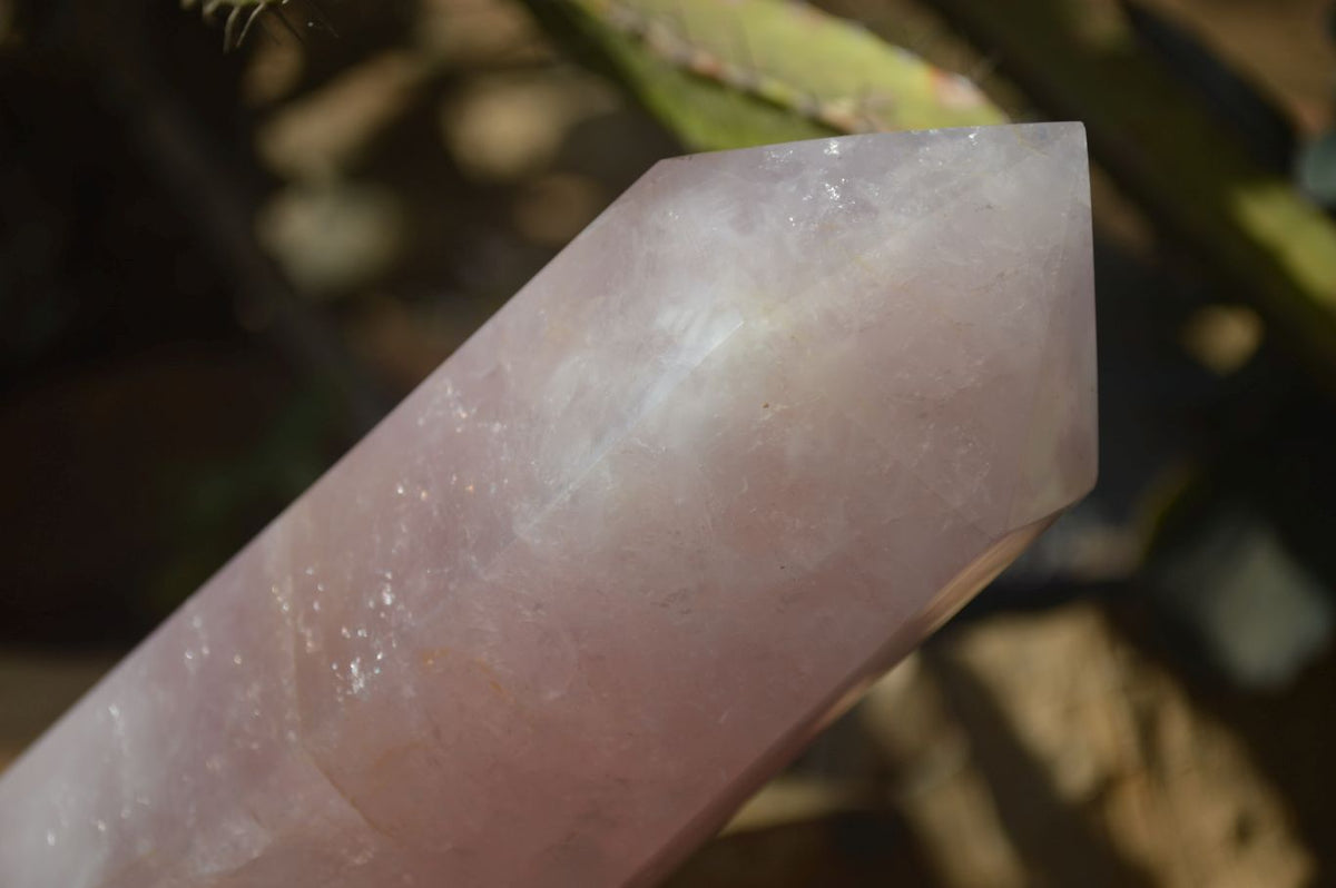 Polished Large Rose Quartz Tower x 1 From Madagascar - Toprock Gemstones and Minerals 