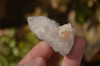 Natural Mixed Spirit Quartz Crystals x 70 From Boekenhouthoek, South Africa - Toprock Gemstones and Minerals 