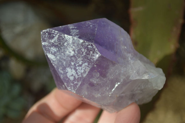 Natural Single Jacaranda Amethyst Crystals x 12 From Mumbwe, Zambia - Toprock Gemstones and Minerals 