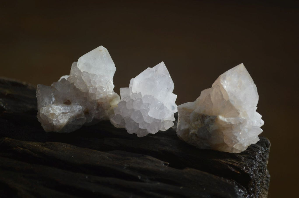 Natural White Spirit Quartz Crystals x 24 From Boekenhouthoek, South Africa - Toprock Gemstones and Minerals 