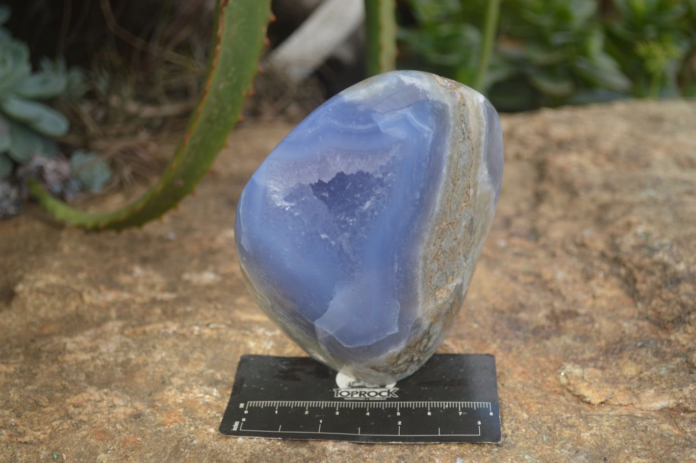 Polished Blue Lace Agate Standing Free Forms  x 2 From Nsanje, Malawi - Toprock Gemstones and Minerals 