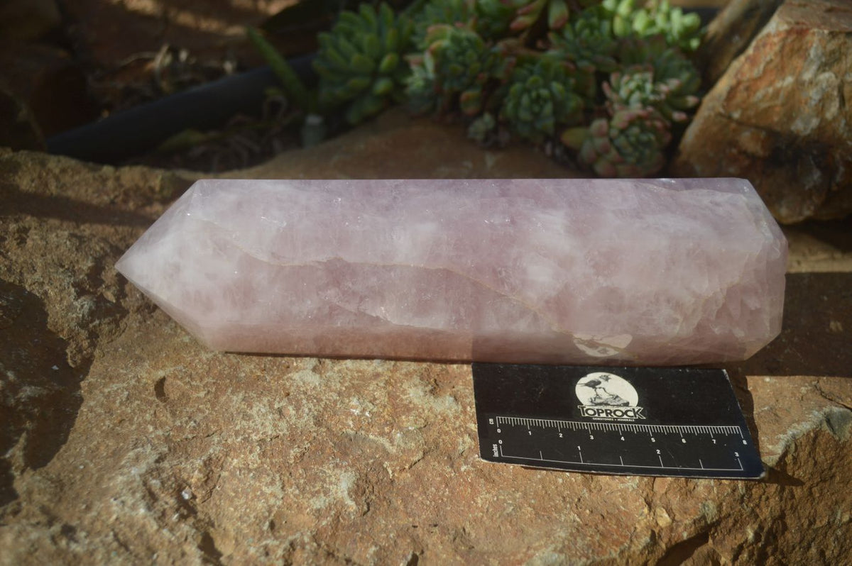 Polished Large Rose Quartz Tower x 1 From Madagascar - Toprock Gemstones and Minerals 
