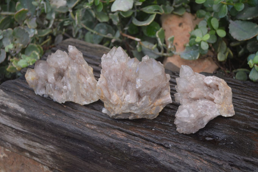 Natural Cascading Smokey Quartz Clusters x 3 From Luena, Congo - Toprock Gemstones and Minerals 