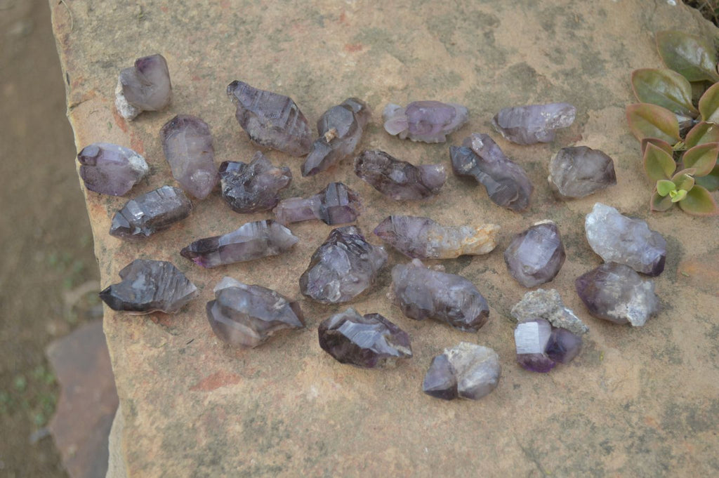 Natural Window Amethyst Sceptre Crystals  x 35 From Chiredzi, Zimbabwe - Toprock Gemstones and Minerals 