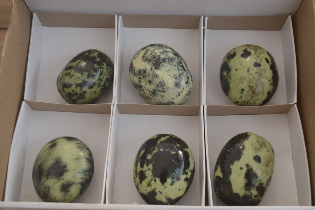 Polished Leopard Stone Palm Stones  x 6 From Zimbabwe - Toprock Gemstones and Minerals 