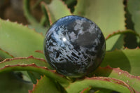 Polished Merlinite Gabbro Spheres  x 4 From Ambatondrazaka, Madagascar