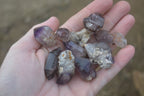 Natural Window Amethyst Sceptre Crystals  x 35 From Chiredzi, Zimbabwe - Toprock Gemstones and Minerals 