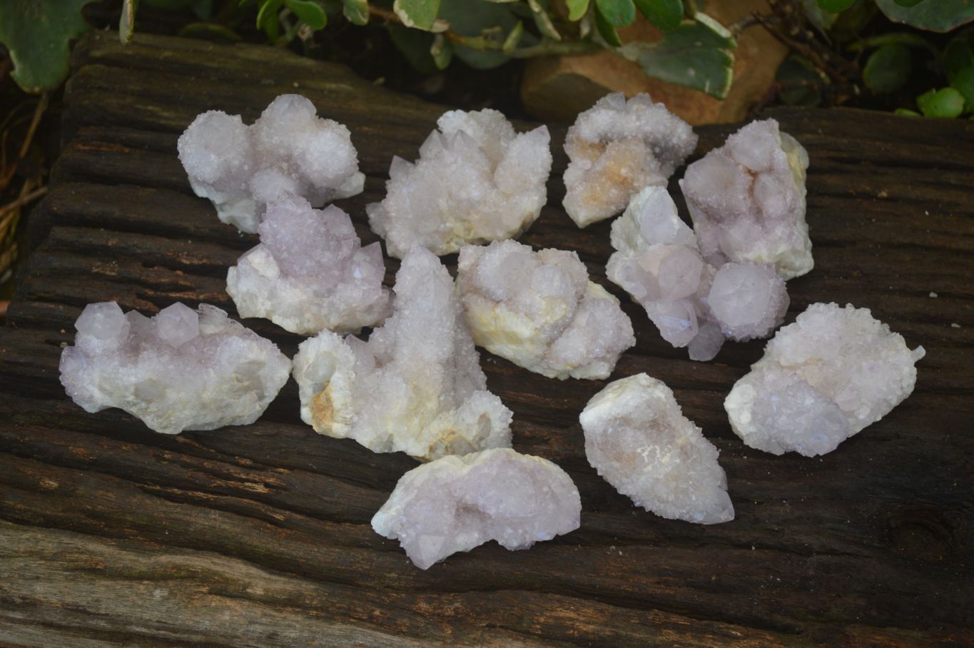 Natural Spirit Quartz Clusters x 12 From Boekenhouthoek, South Africa - Toprock Gemstones and Minerals 