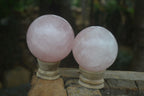 Polished Pink Rose Quartz Spheres  x 4 From Madagascar - Toprock Gemstones and Minerals 