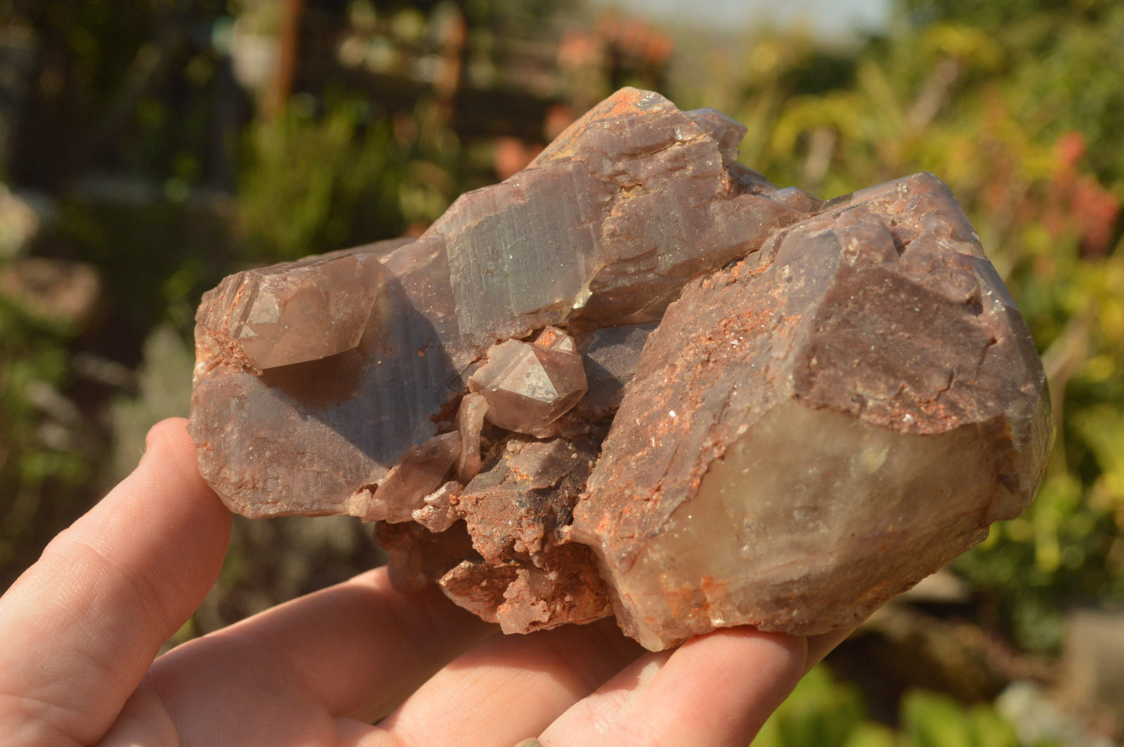 Natural Dusky Red Hematoid Quartz Clusters  x 4 From Karoi, Zimbabwe - TopRock