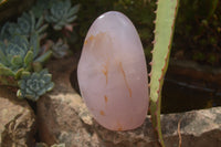 Polished Pink Rose Quartz Standing Free Forms x 2 From Ambatondrazaka, Madagascar - TopRock