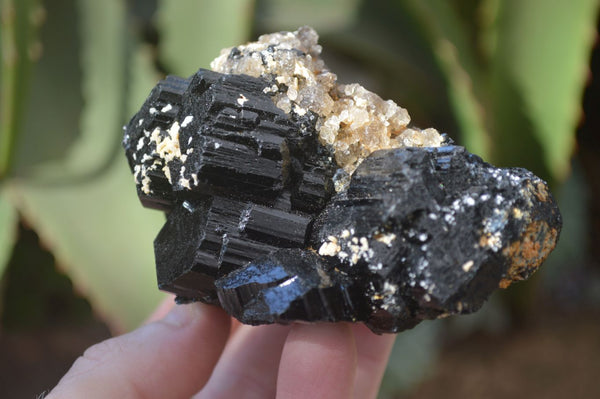 Natural Schorl Black Tourmaline Specimens x 6 From Erongo, Namibia