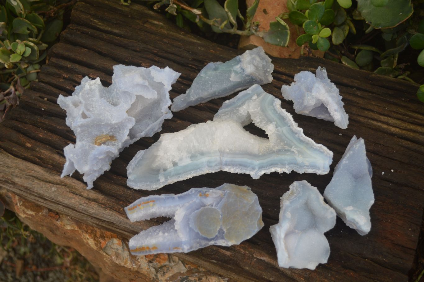Natural Etched Blue Chalcedony Specimens  x 7 From Nsanje, Malawi - Toprock Gemstones and Minerals 