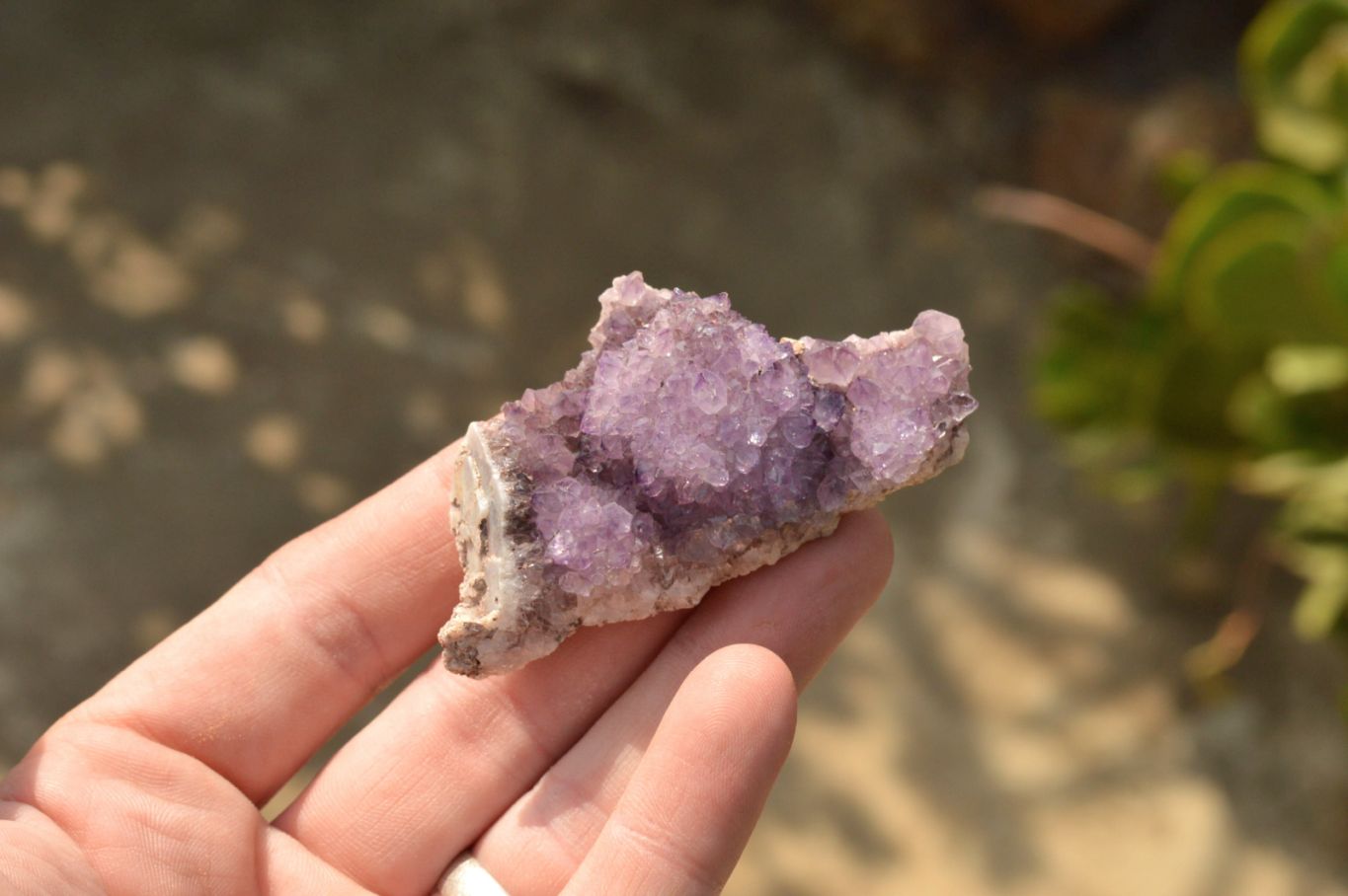 Natural Small Dark "Amethystos" Amethyst Clusters x 35 From Kwaggafontein, South Africa - TopRock