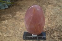Polished Pink Rose Quartz Standing Free Forms x 2 From Ambatondrazaka, Madagascar - TopRock