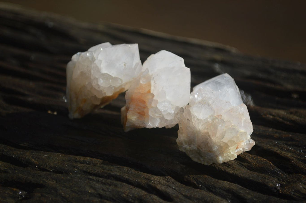 Natural White Spirit Quartz Crystals x 24 From Boekenhouthoek, South Africa - Toprock Gemstones and Minerals 