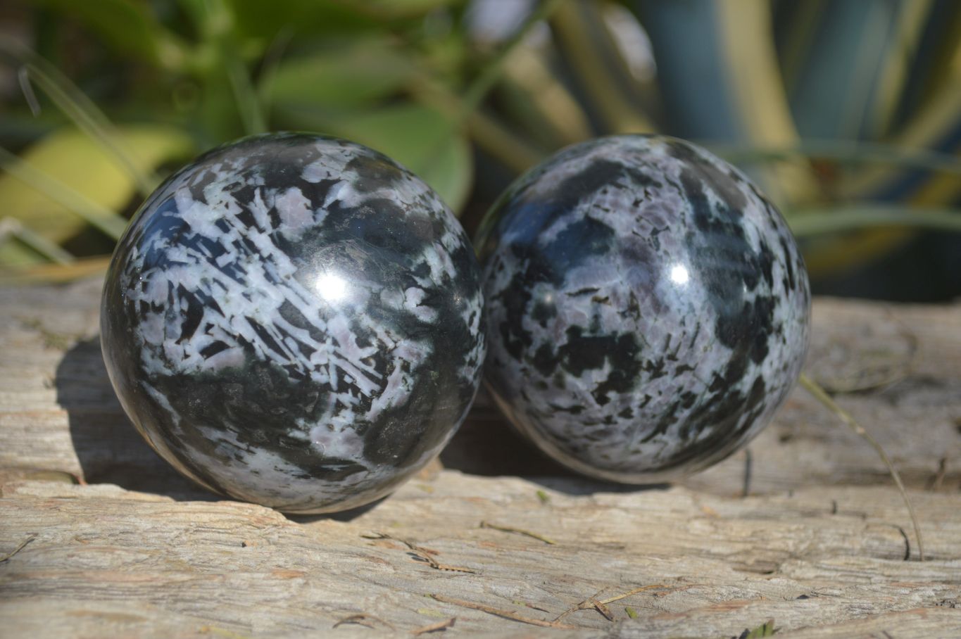 Polished Merlinite Gabbro Spheres  x 4 From Ambatondrazaka, Madagascar - Toprock Gemstones and Minerals 