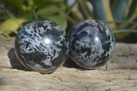 Polished Merlinite Gabbro Spheres  x 4 From Ambatondrazaka, Madagascar