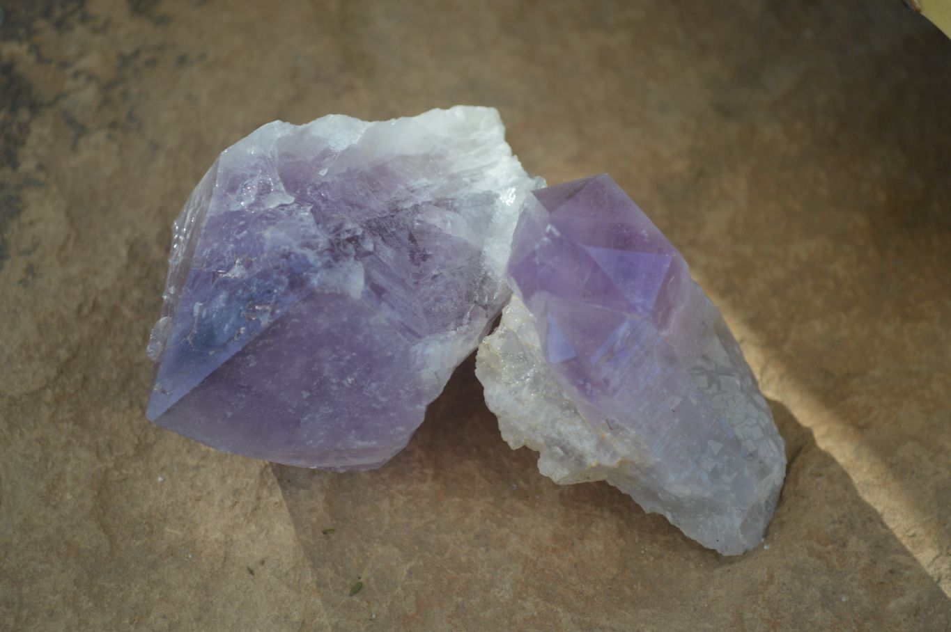 Natural Single Jacaranda Amethyst Crystals x 12 From Mumbwe, Zambia - Toprock Gemstones and Minerals 