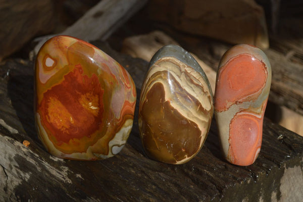 Polished Polychrome / Picasso Jasper Standing Free Forms  x 3 From Madagascar - Toprock Gemstones and Minerals 