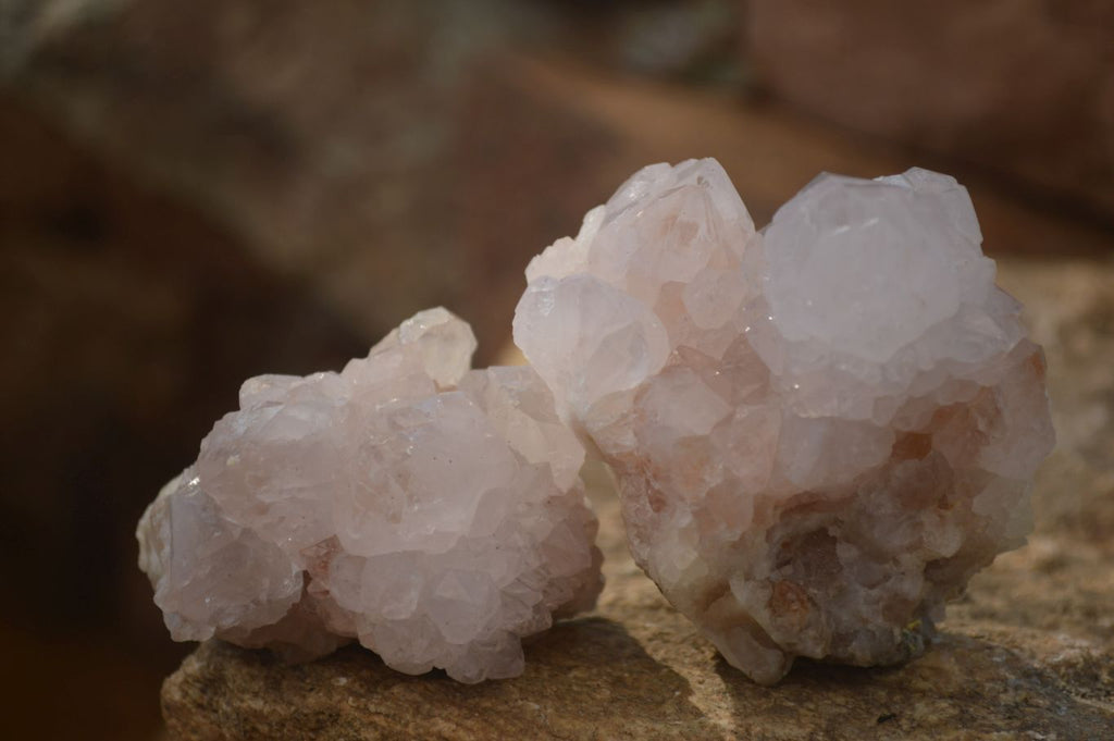Natural Spirit Cactus Flower Quartz Clusters x 6 From Boekenhouthoek, South Africa - Toprock Gemstones and Minerals 