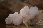 Natural Spirit Cactus Flower Quartz Clusters x 6 From Boekenhouthoek, South Africa - Toprock Gemstones and Minerals 