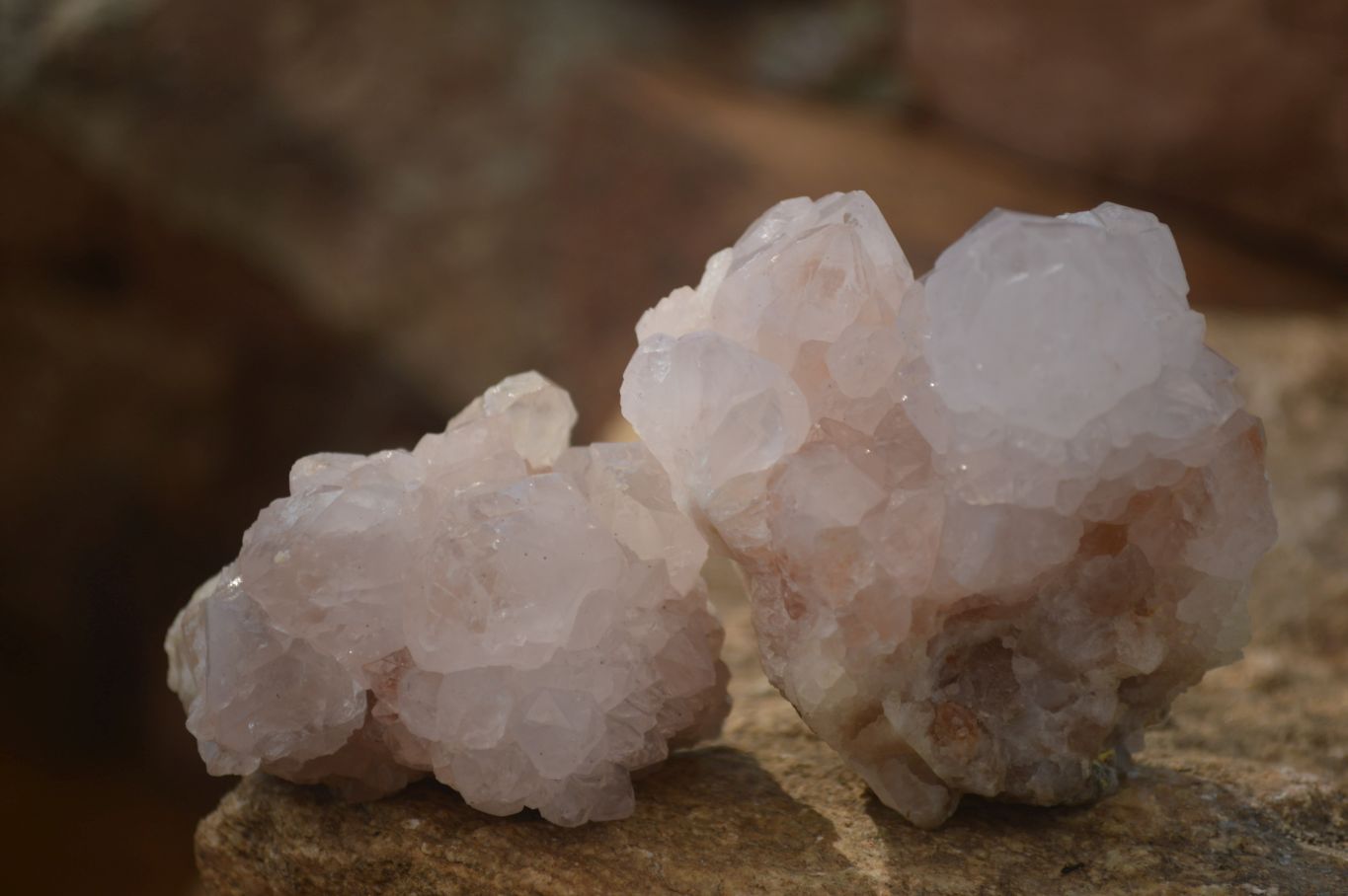 Natural Spirit Cactus Flower Quartz Clusters x 6 From Boekenhouthoek, South Africa - Toprock Gemstones and Minerals 