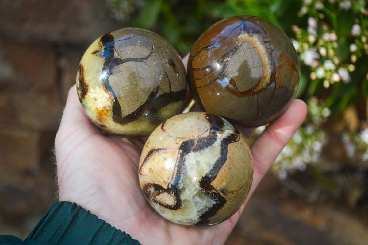 Polished Gorgeous Septerye Spheres x 4 From Madagascar - Toprock Gemstones and Minerals 