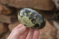 Polished Leopard Stone Palm Stones  x 6 From Zimbabwe - Toprock Gemstones and Minerals 