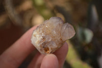 Natural Mixed Spirit Quartz Crystals x 70 From Boekenhouthoek, South Africa - Toprock Gemstones and Minerals 