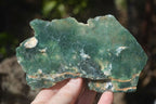 Natural Emerald Mtorolite Plates x 3 From Mutorashanga, Zimbabwe - Toprock Gemstones and Minerals 