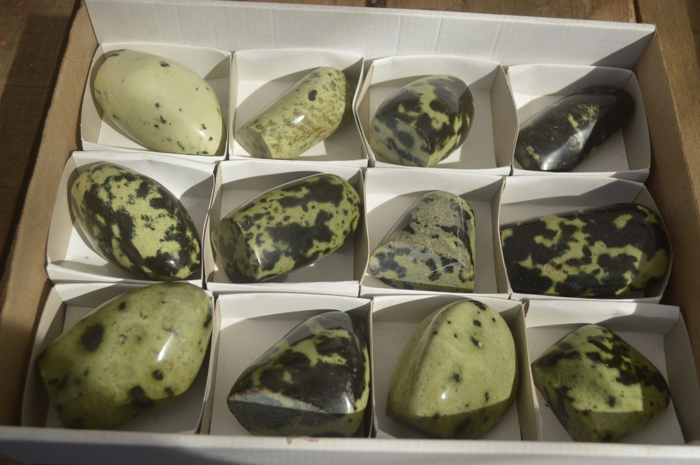 Polished Leopard Stone Free Forms  x 12 From Zimbabwe - Toprock Gemstones and Minerals 