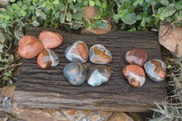Polished Polychrome Jasper Hearts  x 12 From Madagascar