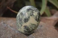 Polished Leopard Stone Palm Stones  x 6 From Zimbabwe - Toprock Gemstones and Minerals 
