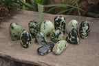 Polished Leopard Stone Free Forms  x 12 From Zimbabwe - Toprock Gemstones and Minerals 