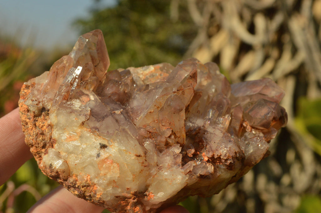 Natural Dusky Red Hematoid Quartz Clusters  x 4 From Karoi, Zimbabwe - TopRock