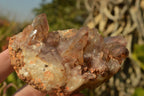 Natural Dusky Red Hematoid Quartz Clusters  x 4 From Karoi, Zimbabwe - TopRock
