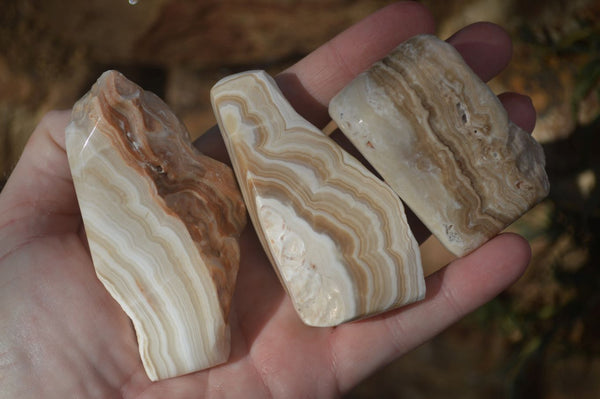 Polished Caramel Desert Agate Free Forms  x 12 From Namibia