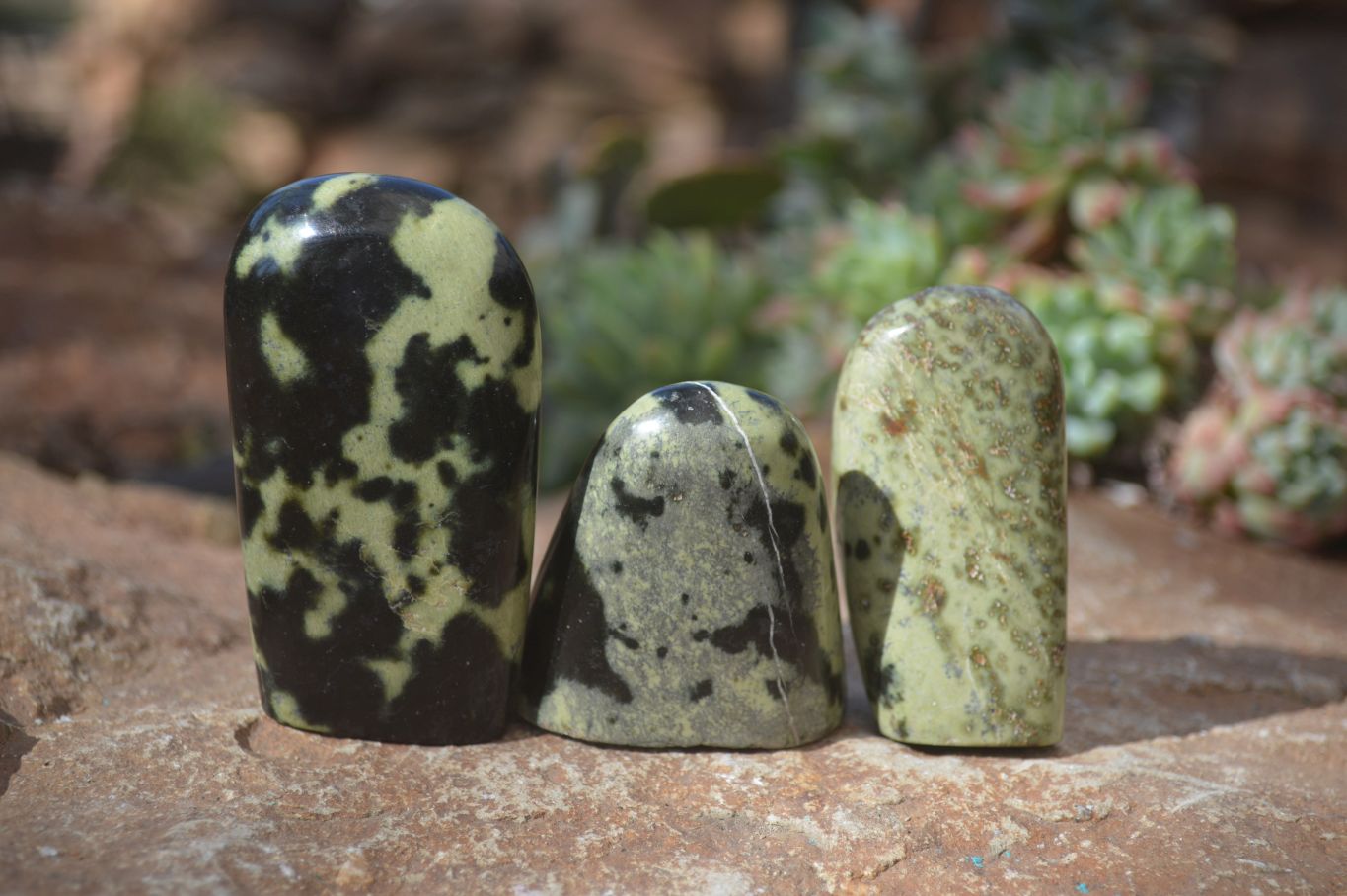 Polished Leopard Stone Free Forms  x 12 From Zimbabwe - Toprock Gemstones and Minerals 
