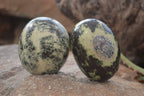 Polished Leopard Stone Palm Stones  x 6 From Zimbabwe - Toprock Gemstones and Minerals 