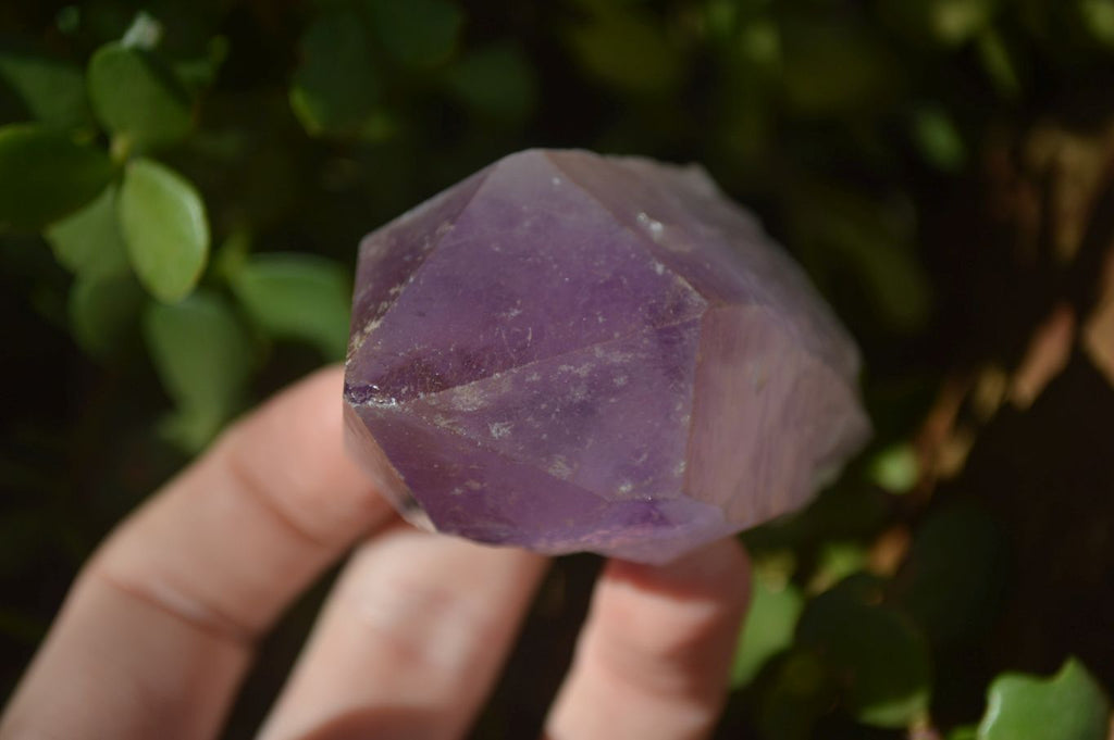 Natural Single Jacaranda Amethyst Crystals x 12 From Mumbwe, Zambia - Toprock Gemstones and Minerals 