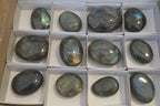 Polished Flashy Labradorite Palm Stones  x 12 From Tulear, Madagascar - Toprock Gemstones and Minerals 