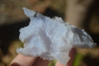 Natural Etched Blue Chalcedony Specimens  x 7 From Nsanje, Malawi - Toprock Gemstones and Minerals 
