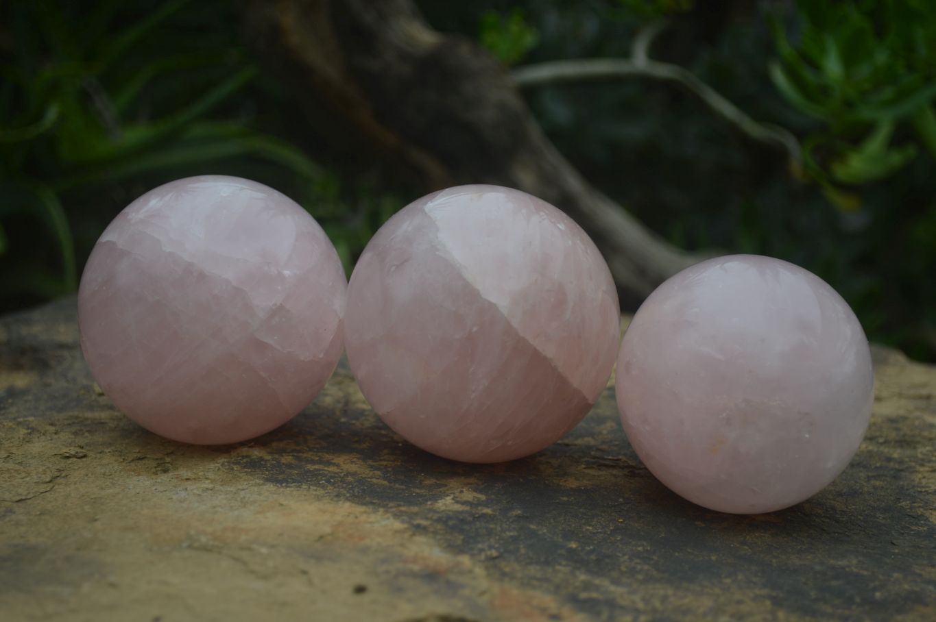 Polished Pink Rose Quartz Spheres  x 4 From Madagascar - Toprock Gemstones and Minerals 
