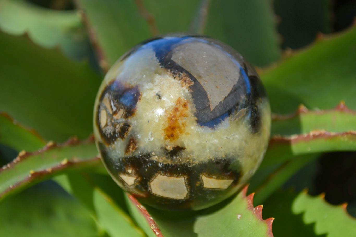 Polished Gorgeous Septerye Spheres x 4 From Madagascar - Toprock Gemstones and Minerals 