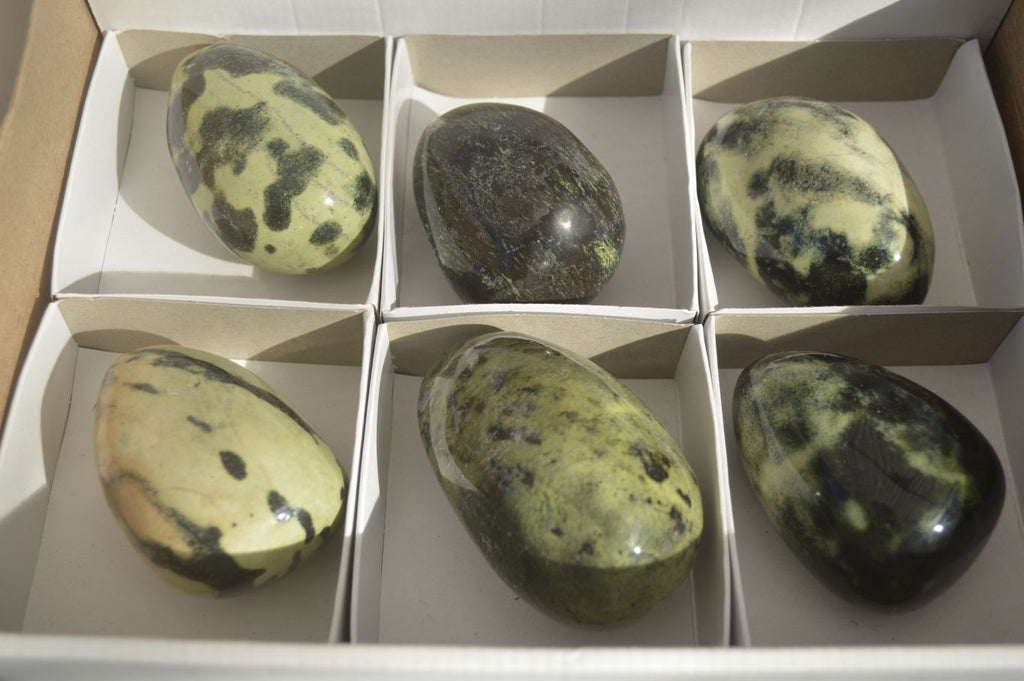 Polished Leopard Stone Free Forms  x 6 From Zimbabwe - Toprock Gemstones and Minerals 