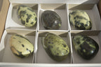 Polished Leopard Stone Free Forms  x 6 From Zimbabwe - Toprock Gemstones and Minerals 