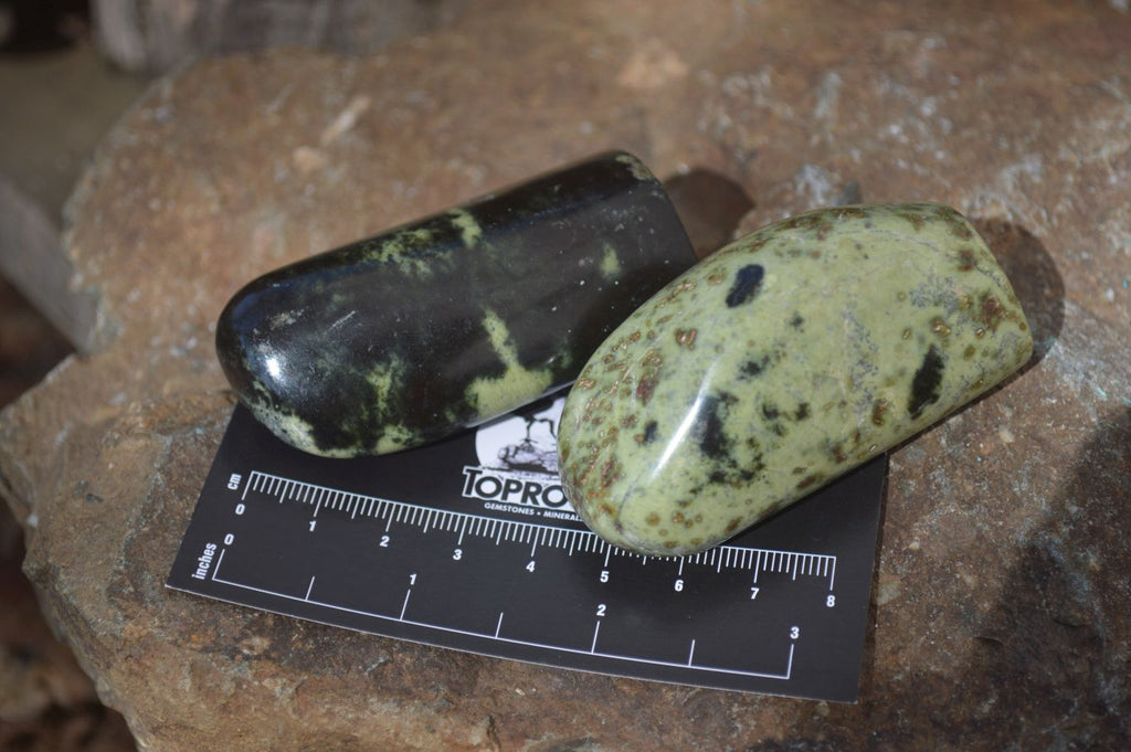 Polished Leopard Stone Free Forms  x 12 From Zimbabwe - Toprock Gemstones and Minerals 